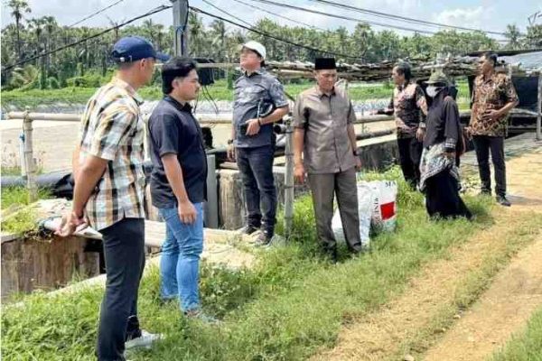 Rombongan pansus tambak udang DPRD Sumenep melakukan sidak di Dasuk. ©okedaily.com/istimewa